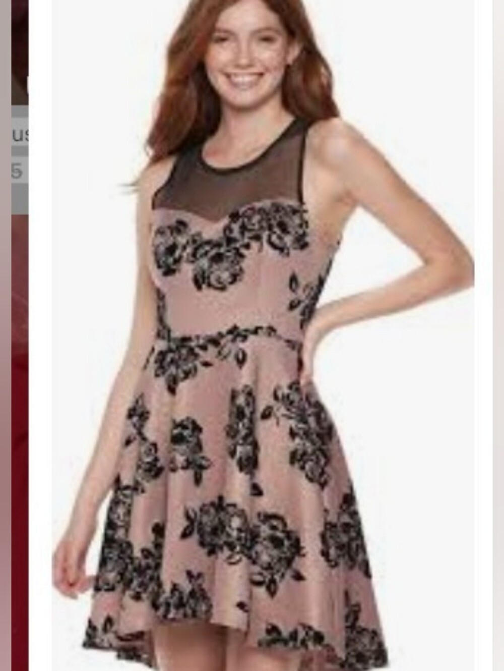 Trixxi Blush Pink Dress with Black Floral Velvet Print